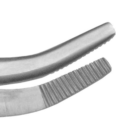 May 14 cm Curved Stainless Steel Terrarium Tweezers - Perfect Feeding Tongs for Reptiles & Plants | International Shipping - Buy Online on GoSupps.com