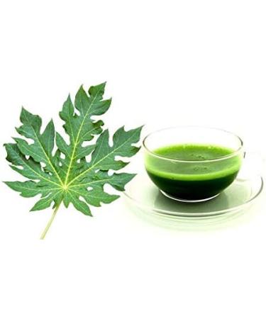 Herbal Magic Pure Papaya Leaf Powder - Green & Whole Leaves | Ayurvedic Superfood for Smoothies & Baking | 300gms - Buy Online on GoSupps.com