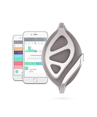 Bellabeat Leaf Urban Smart Jewelry Health Tracker Urban Gray / Silver