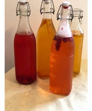 IBIV Kombucha Scoby Starter Culture - Raw & Premium Fermented Tea with Instructions (1/2 Cup Starter for 1/2 Gallon) - Buy Online on GoSupps.com