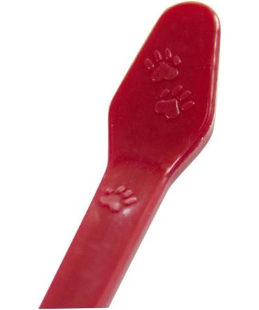 GANAZONO 6 Pcs Pet Toothbrush Toothpaste Super Bristles Toothbrush Kitten Toothbrush Dog Big Head Toothbrush - Buy Online on GoSupps.com