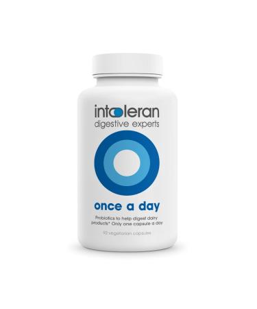 Intoleran Once a Day - 92 Capsules | Probiotic Lactose Intolerance Supplement | Actively Produces Lactase Enzyme & Helps Digest Dairy | 1 Capsule per Day | 6 Lactic Acid Ferments | Pure & Dairy Free