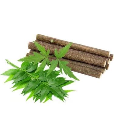 100 Pc Natural Neem Chew Sticks - Ayurvedic Organic Toothbrush for Teeth Brushing | RNB Store - Remove Bad Breath & Gems, Relieve Toothache - Buy Online on GoSupps.com