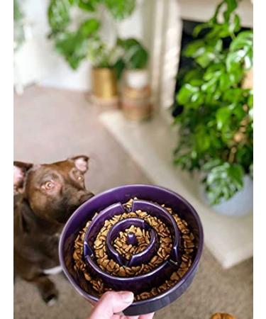 Food bowl to on sale make dogs eat slower