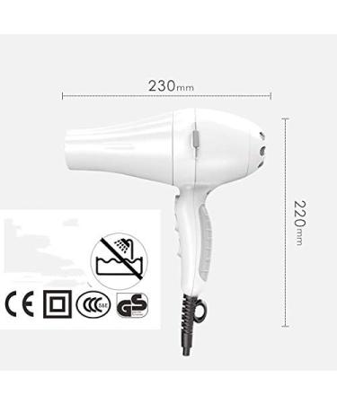 ADITAM Ceramic Hair Dryer Without Anti-Low Radiation Non-Asbestos Hair Dryer Tube Pregnant Women Baby Children Hair Salon Gale Special Mica/B Double The Comfort - Buy Online on GoSupps.com