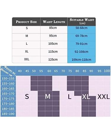 Fine Lumbar Belt - Lower Back Support & Pain Relief Neoprene Double Train Design - Gray L - Buy Online on GoSupps.com