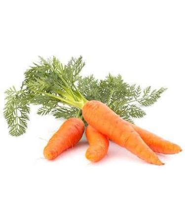 Carrot - Oily Macerate Organic - Glass Bottle - 100mL - Buy Online on GoSupps.com