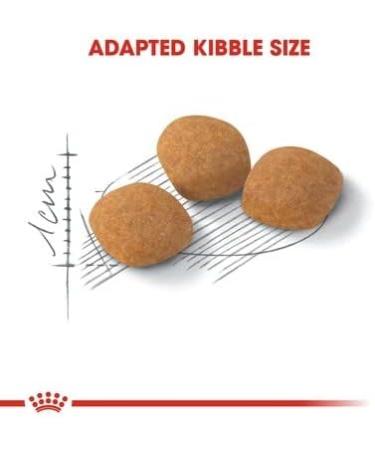 Royal Canin Protein Exigent Dry Adult Cat Food 4kg 4 kg (Pack of 1) - Buy Online on GoSupps.com