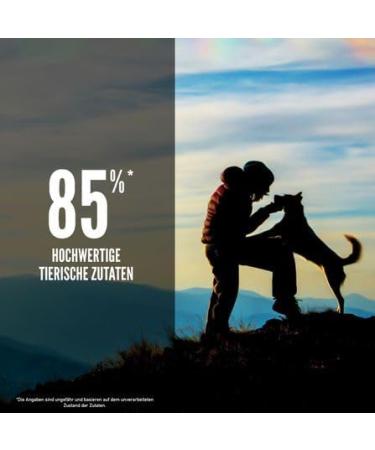 Orijen Original Dog | Double Pack | 2 x 340 g | Complete Food for Adult Dogs | 85% High Quality Animal Ingredients | Coated with Freeze-Dried Raw Ingredients - Buy Online on GoSupps.com