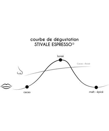 CAF S GON O - Caf En Grains - Stivale Espresso - 75% Arabica & 25% Robusta - Caf l'italienne - Notes Chocolat es & Bois es - Espresso intense - Parfait pour amateurs - 1 kg - Buy Online on GoSupps.com