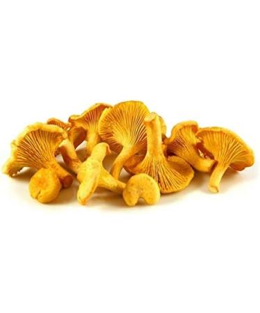 Sabarot - Chanterelles in a jar 185g - Buy Online on GoSupps.com