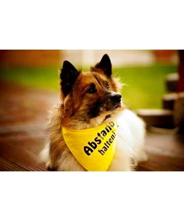 Dimpe's Dog Hill Towel - Yellow 'Keep Your Distance' Neckerchief for Nervous Dogs - Small to Large Sizes - 30cm - Buy Online on GoSupps.com