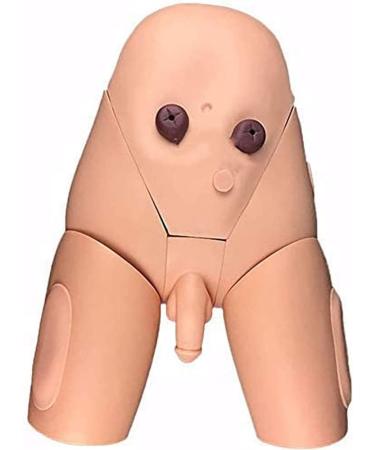 Male & Female Catheterization Model - Urethral Simulator Kit for Medical Training - Buy Online on GoSupps.com