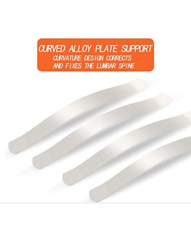 Back Support Belt Lower Back Brace with Double Adjustable Straps and Built-in Splints Medical-Grade Lumbar Belt for Pain Relief and Injury Prevention (X-Large) - Buy Online on GoSupps.com