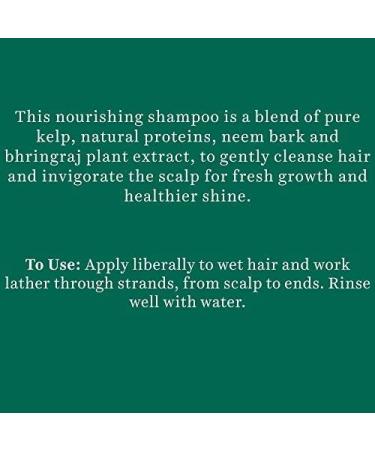Biotique Bio Kelp Protein Shampoo - Intensive Hair Regrowth Treatment for Falling Hair | 180ml - Buy Online on GoSupps.com