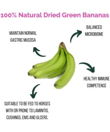 EquiNutritive B-Complete: Natural Horse Gut Supplement for Gastric Health - Dried Green Bananas 2.5kg - Buy Online on GoSupps.com