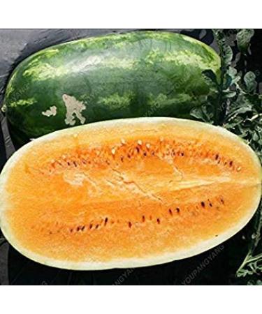 30 / Bag Super Big Semi dell'anguria Dolce Sapore di Frutta Verdura e Semi Giallo Delicious WatermelonSeeds
