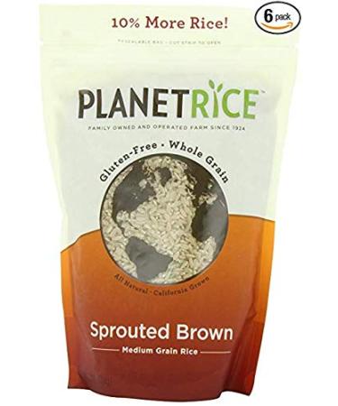 Planet Rice Sprouted Brown Gaba Rice for Meal Prep and Bulk Cooking - Gluten-Free, Vegan, Paleo, Non-Allergenic with 64% more Fiber - Soft and Chewy Texture - 22 Ounce (Pack of 6) 1.4 Pound (Pack of 6)