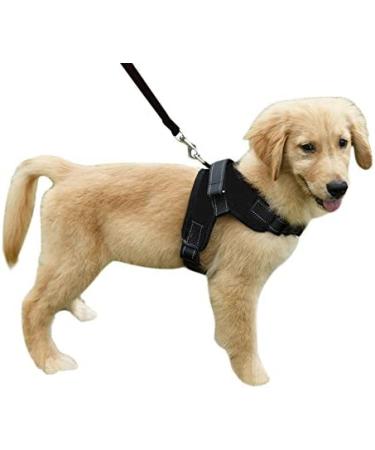 Adjustable Reflective Dog Safety Harness with Leash Set - No-Pull Breathable Vest for Small, Medium, Large Dogs - Training and Walking - Black - Buy Online on GoSupps.com