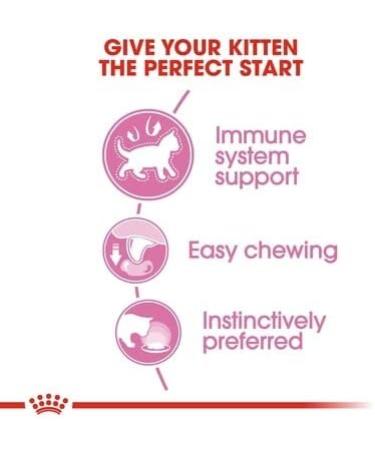 Royal Canin Kitten in Loaf Wet Food 85g (Pack of 48) - Buy Online on GoSupps.com