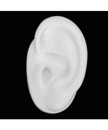 Ear Display Model Silicone Ear Model Silicone Material for Hearing Aids Wearing(Left) - Buy Online on GoSupps.com