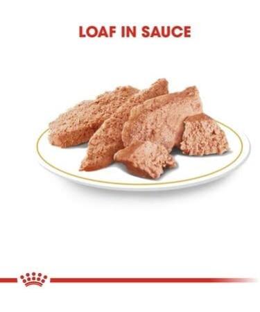 Chihuahua Adult Wet Dog Food 24 Packs 85g Each For 8 Months Plus Formulated Specifically For Small Breed Dogs - Buy Online on GoSupps.com