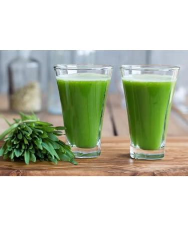 Wohltuer Organic Barley Grass Powder 1000g | Raw Food Quality | Bavarian Agriculture | International Shipping - Buy Online on GoSupps.com