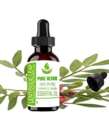 Pure Herbs Lentisque Leaf (Pistacia Lentiscus) essential oils 15 ml