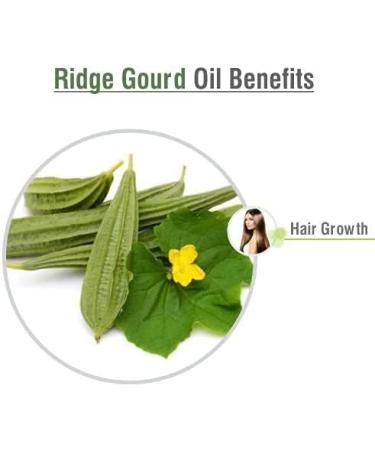 Ridge Gourd Oil (LUFA ACUTANGULA) 100% Natural Pure Carrier Oil 15ml Ridge Gourd 15ml - Buy Online on GoSupps.com