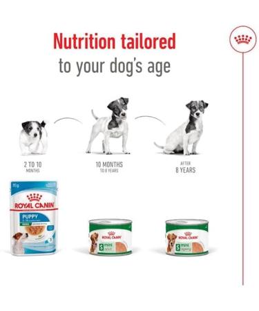Royal Canin Mini Adult Wet Dog Food In Loaf Cans 12 x 195g - Buy Online on GoSupps.com