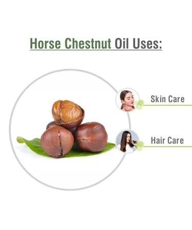 Horse Chestnut Oil - Pure & Natural | Firm Skin Hydration & Toning | 250 ML for Skincare Hair Care & DIY Use - Buy Online on GoSupps.com