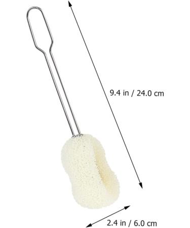 Solustre 4-Piece Cleaning Brush Set Bottle Kitchen Glass & Sponge Brushes with Long Handle & Stainless Steel Ball | International Shipping - Buy Online on GoSupps.com