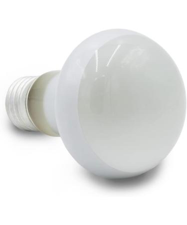 Terra Exotica 60W Heat Spot Lamp for Reptiles - 3-Pack Terrarium Lighting | 25W 40W 75W 100W 150W Options Available - Buy Online on GoSupps.com