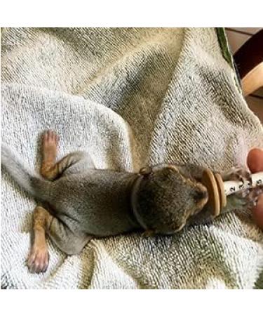 20 Pack Pet Nipples with Syringes for Newborn Kittens & Puppies | Ideal for Small Mammals - Baby Bottles for Pets - Buy Online on GoSupps.com