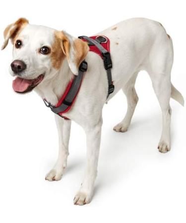 HUNTER Harness Maldon XS (34-49) - Red/Grey | Premium Dog Harness for Comfort & Style - Buy Internationally! - Buy Online on GoSupps.com