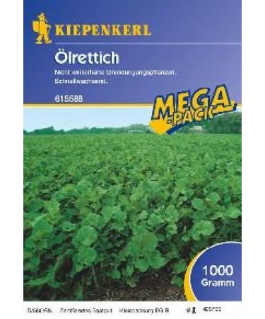 Oelrettich 1 kg