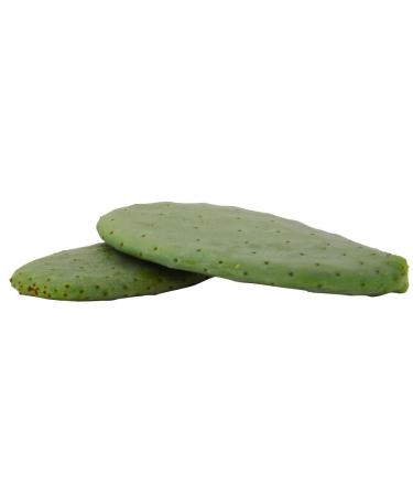 2kg Opuntias (Opuntia) | Cactus leaves | Fodder plant | Turtle food
