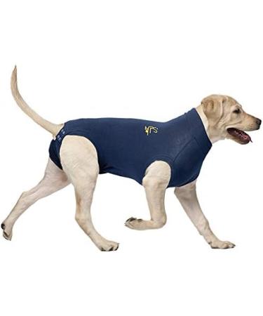 MPS Medical Pet Shirt for XX-Large Dogs - Blue 2XL - Ideal Recovery Apparel - Pack of 1 - International Shipping Available - Buy Online on GoSupps.com