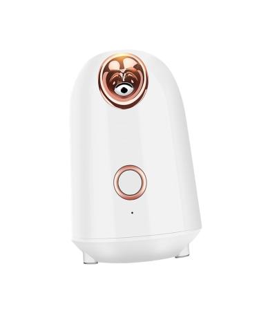 DRESSOOS Water Replenishing Instrument Steamer Mini Face Steamer Face Spa Device Mist Humidifier White Abs