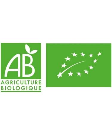 Babybio Vend e Green Parsnip/Beans Rice Pots 400 g - Pack of 6 - Organic - Buy Online on GoSupps.com