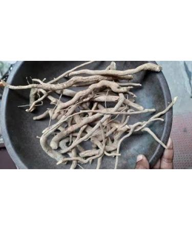 Sarpagandha root Indian snake root Chota Chand Rouwolfia Serpentina (100 g) - Buy Online on GoSupps.com