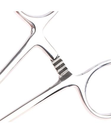 Buy Stainless Steel Pin Sponge Tonnini M dici - 25cm Oval D cor Clip for International Shipping - Buy Online on GoSupps.com