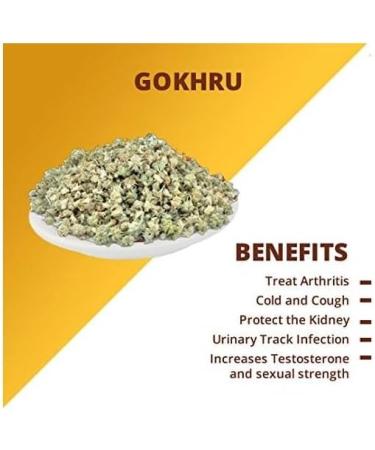 YAAJ Gokhru Bada (200g) Gokhroo Bada | Gokshura | Tribulus Terrestris Seeds | Small Caltrops | Sabut - Buy Online on GoSupps.com