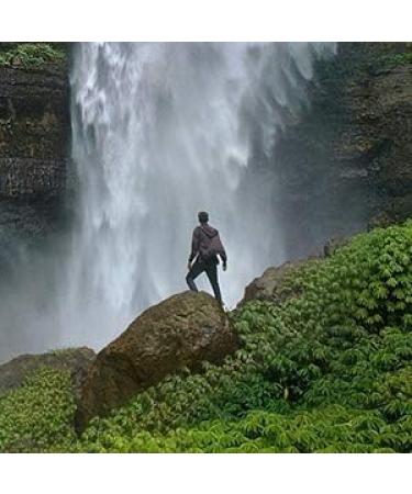 Premium Shampoo & Cleansing Foam for Hiking Clothes | Clean Water-Repellent Gear - Shop Internationally - Buy Online on GoSupps.com