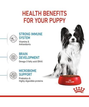 Royal Canin X-SMALL Puppy | Double Pack | 2 x 500g | Dry food for puppies of very small breeds | May contribute to normal immune system function | With Omega-3 - Buy Online on GoSupps.com