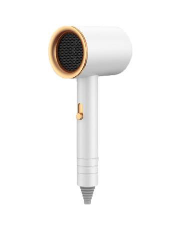 Hair Dryer 800W Ionic Hair Dryer 360 Degree MuteRotatable Nozzle Fast Drying Folding Design ABS PP Portable Blow Dryer for Home Salon(Pearl White)