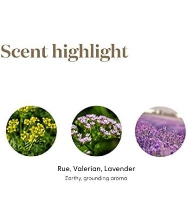 Young Living RutaVaLa Essential Oil Roll-On 10 ml | Calming Aromatherapy Blend for Relaxation | Ruta Lavender & Valerian Oils - Buy Online on GoSupps.com