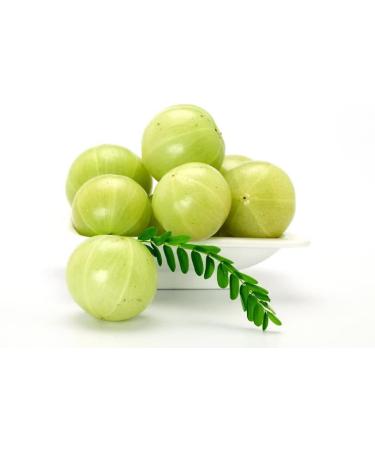 100% Pure Amla Oil - Indian Beauty Secret for Shiny and Healthy Hair . Pure Amla Hair Oil Chemical Free - Buy Online on GoSupps.com