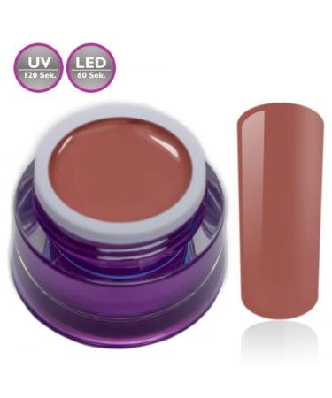 Buy Studio Quality Orange Brown Crabapple UV LED Nail Gel - RM Beautynails 5ml - International Shipping - Buy Online on GoSupps.com