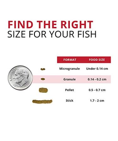 Fluval Bug Bites Cichlid Fish Food - Buy Online on GoSupps.com